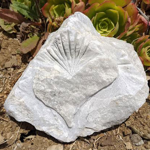Quartz Heart, Song by Tommy Teeple and the Quantum Hitchhikers
